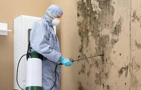 Mold Remediation for Vacation Homes in Salamatof, AK